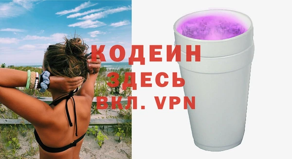 гашик Гусь-Хрустальный