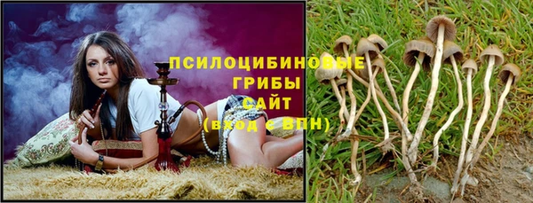 гашик Гусь-Хрустальный