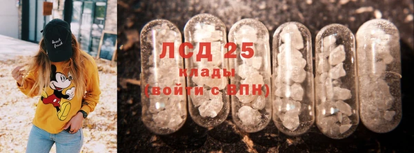 гашик Гусь-Хрустальный