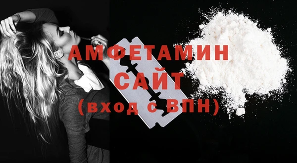 гашик Гусь-Хрустальный