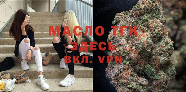 трава Гусиноозёрск
