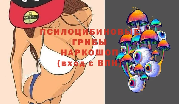СК Вязьма