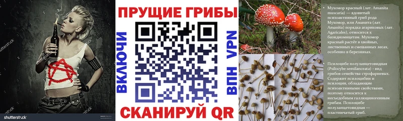 наркотики  Лодейное Поле  Псилоцибиновые грибы мухоморы 